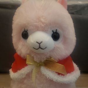 Alpacasso 10th Anniversary BIG Pink